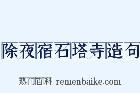 除夜宿石塔寺造句是什么意思的图片